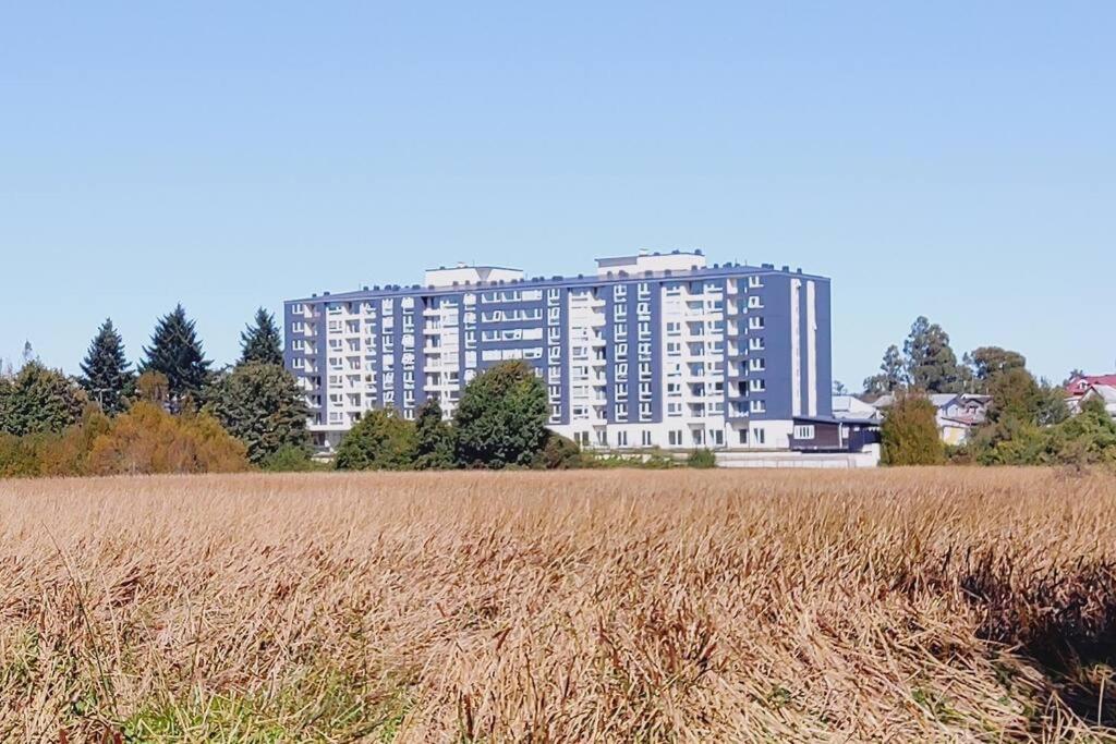 Departamento Estudio 810 Valdivia